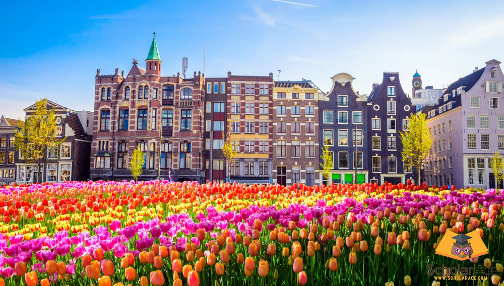 best bachelors program in Netherlands in Europe