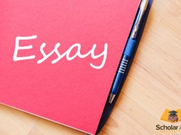 essay word written on diary