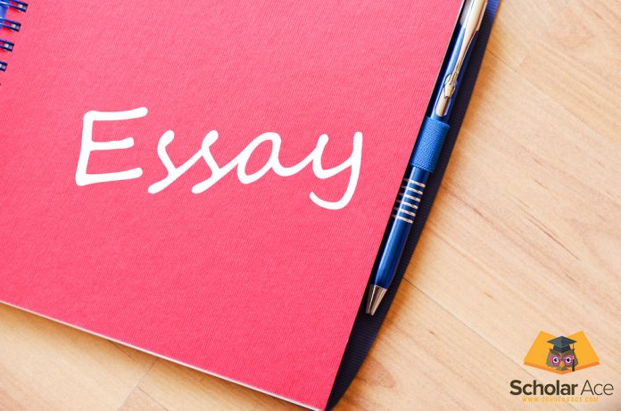 essay word written on diary