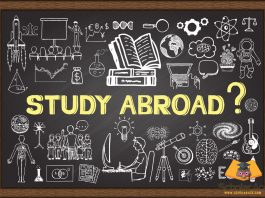 pros and cons of studying abroad