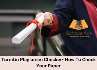 plagiarism detection tools