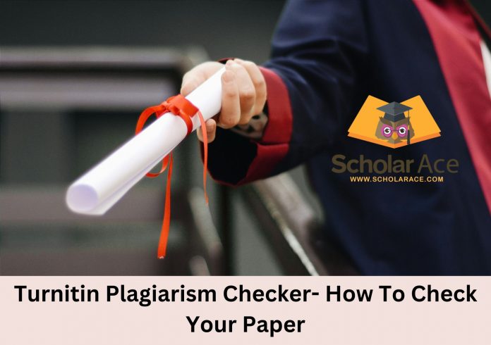 plagiarism detection tools