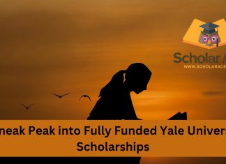 yale university fully funded scholarships for international students​