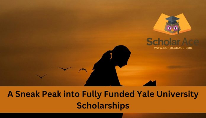 yale university fully funded scholarships for international students​