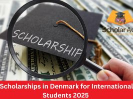 Scholarships in Denmark