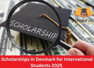 Scholarships in Denmark