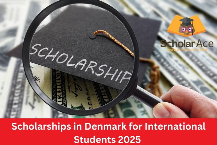 Scholarships in Denmark