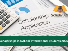 scholarships in uae​