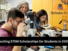 Stem scholarships