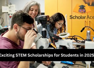 Stem scholarships