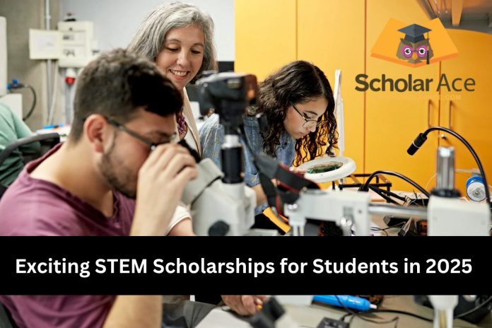 Stem scholarships