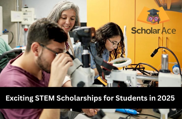 Stem scholarships