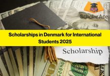 Scholarships in Denmark for International Students 2025 – May 2025 Scholarships in Denmark