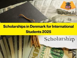 Scholarships in Denmark