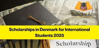Scholarships in Denmark for International Students 2025 – May 2025 Scholarships in Denmark